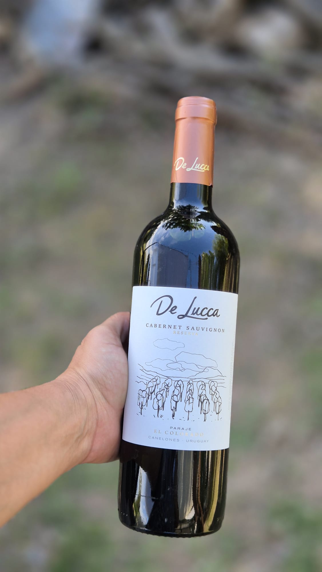 Cabernet Sauvignon Reserva