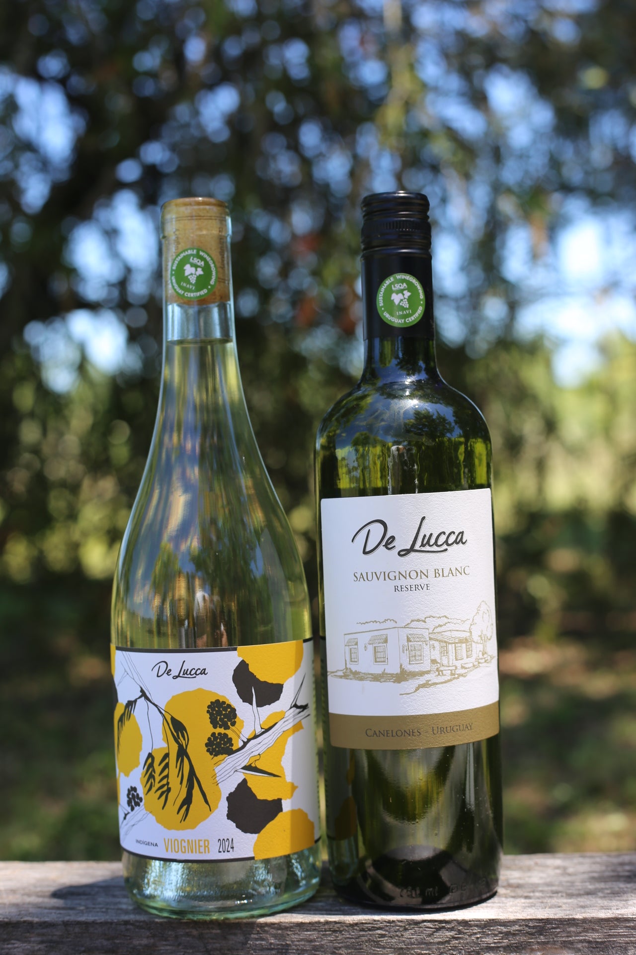 Pack Blancos Frescos