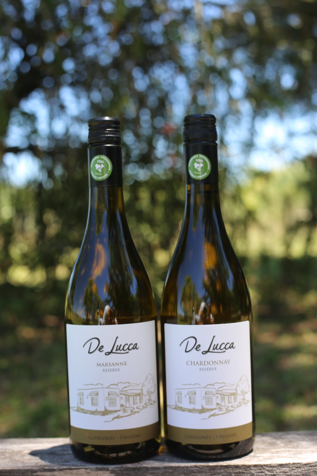 Pack Blancos Reserve