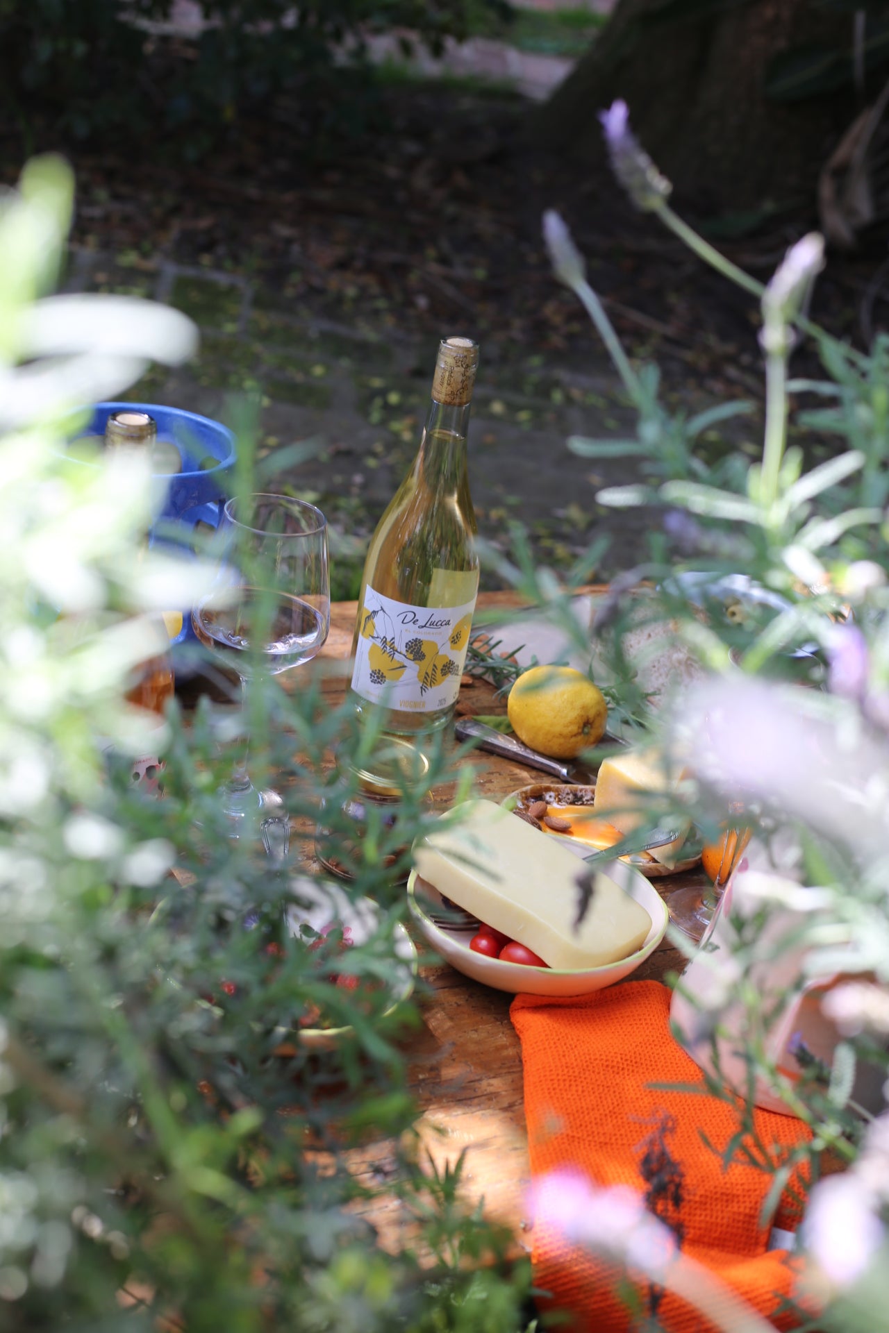 Pack Frescos Indigena x 6